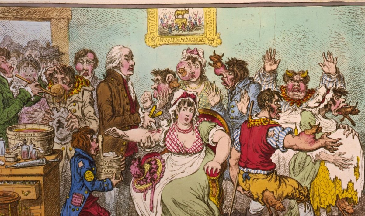 19. sajandi karikatuur peegeldab inimeste kartusi vaktsiini kohutavate kõrvaltoimete ees. Näiteks usuti, et vaktsineeritule kasvavad kärsad, sarved või muud kohutavad kasvajad (foto: James Gillray / CC BY-SA 4.0 / Wikimedia Commons)