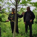 Eesti parim metsamajandaja selgub augusti lõpus