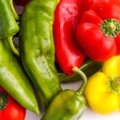 10 põhjust, miks süüa maitsvat ja tervislikku paprikat