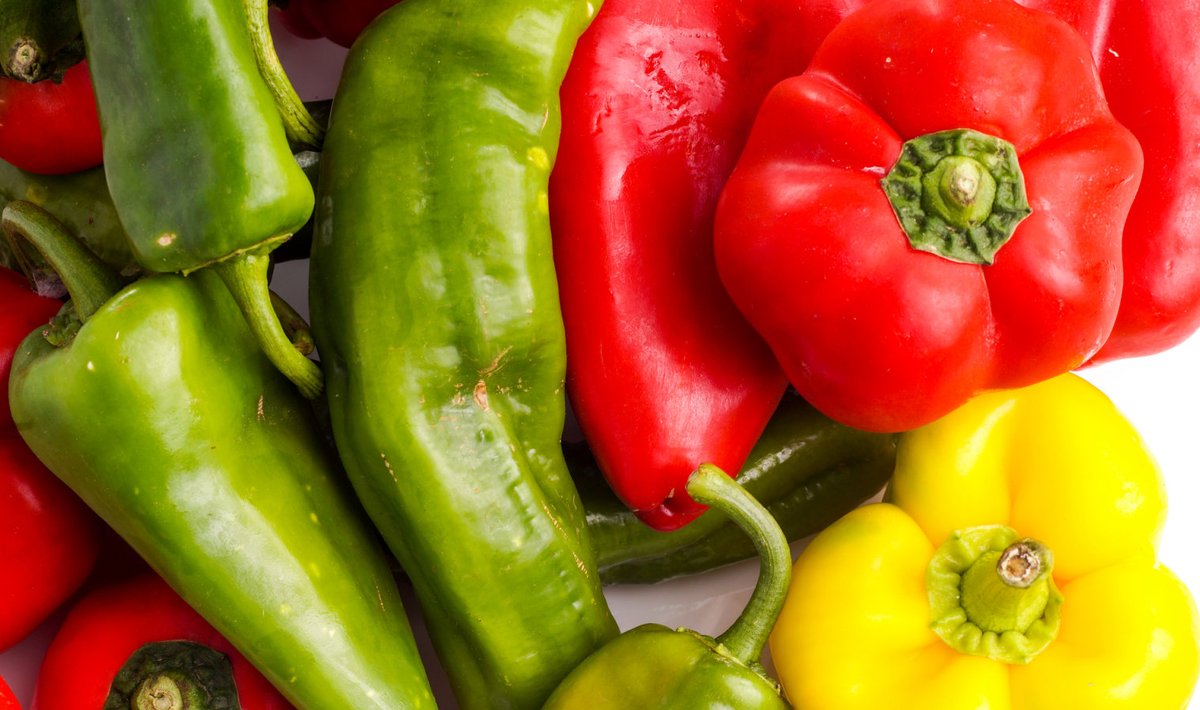Paprika