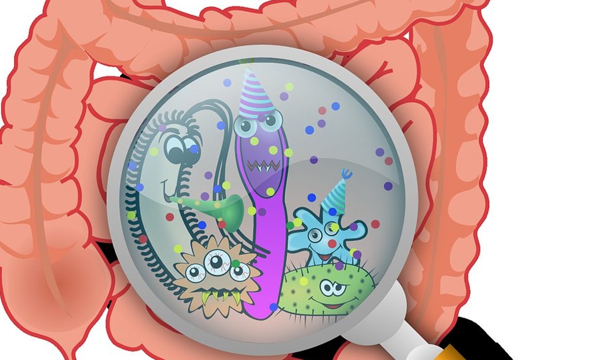 Pilt on illustratiivne (Foto: Pixabay / OpenClipart-Vectors)