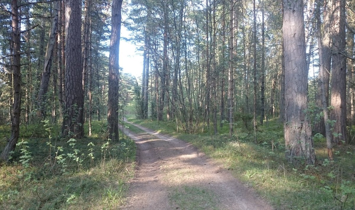 Kodanikuühendus esitas vaide Lohusalu parklaehituskavadele