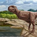 Teadlased avastasid Egiptusest kummalise dinosauruseliigi, kelle koon on sarnane buldogi omaga