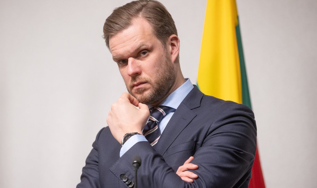 Министр иностранных дел Литвы Габриэлюс Ландсбергис