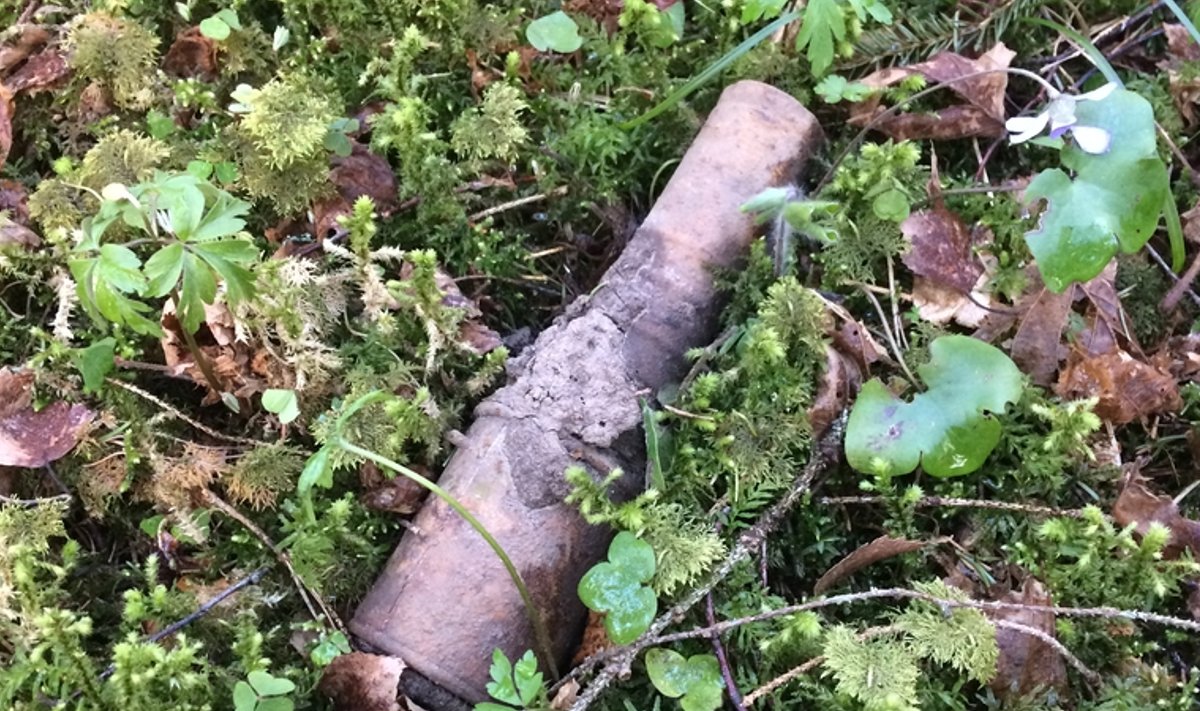 Järva-Jaani vallast leitud Vene päritolu käsigranaat RGD-33