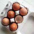 Hea teada: kas sina oskad munaleti ees õige valiku teha?