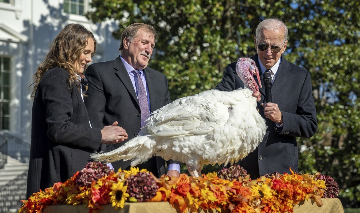 Tänupühade ajal on tüüpiliseks söögiks kalkunipraad. Pildil USA president Joe Biden (paremal) nii-öelda armu andmas kalkunile nimega Šokolaad.