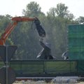 ФОТО И ВИДЕО | Снос советского памятника в Риге: демонтированы все три скульптуры солдат