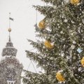 Синоптик: надежда на белое Рождество в Эстонии сохраняется. Правда, не везде