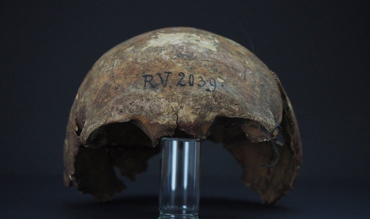 Скелет был найден в Латвии еще в XIX веке, но генетический анализ его провели только сейчас