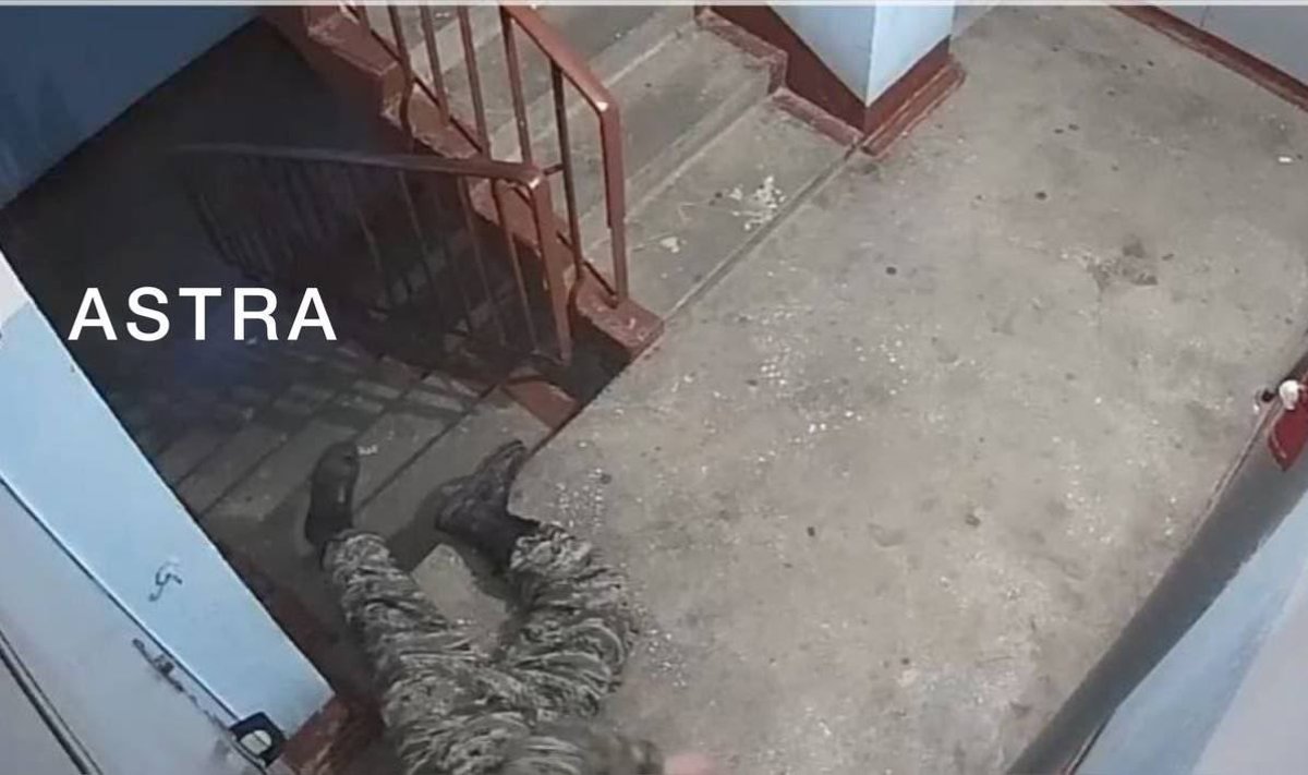 Trepikodades elavad mobiliseeritud