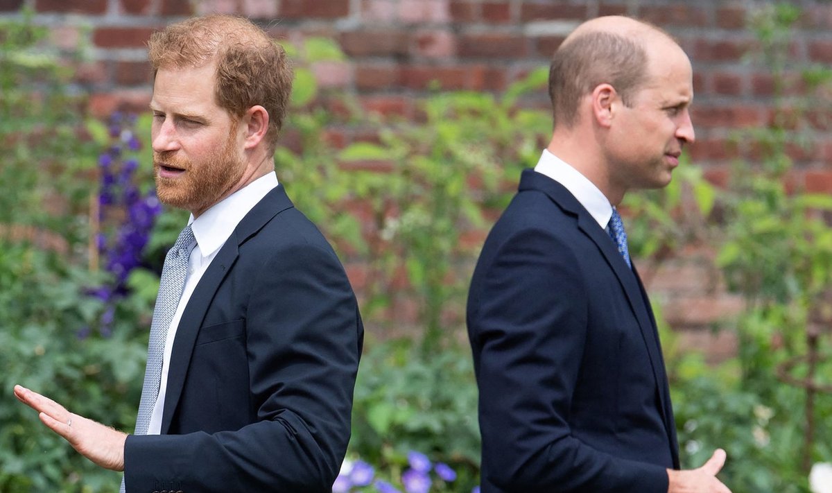Prints Harry ja prints William