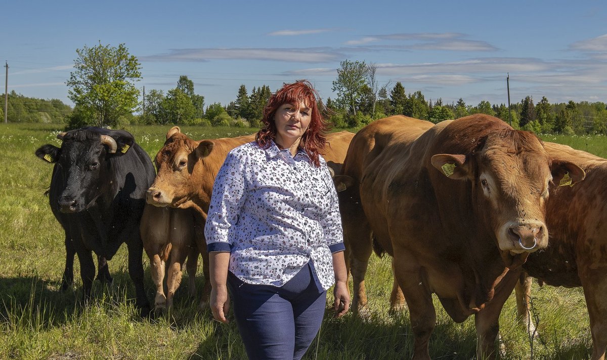 „Lihaveiste kasvatamine annab võimaluse väärtustada meie oma maad, poollooduslikke kooslusi,“ teatab Diana Pärna.