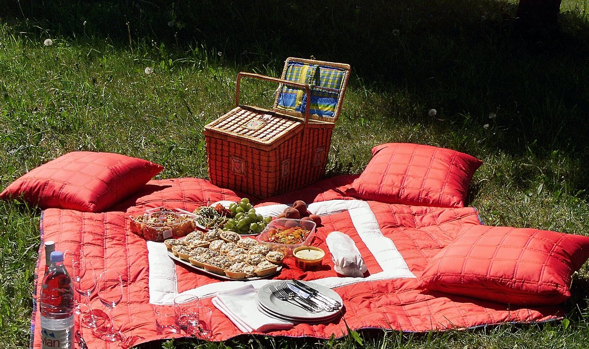 PIKNIK