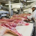 HKScan инвестирует в Раквереский мясокомбинат 8 миллионов евро