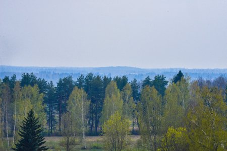Viljandi lähistel on näha sinist vinet