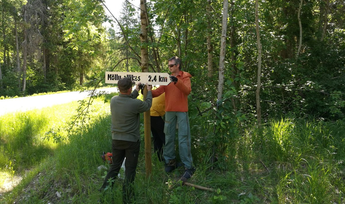 Rada allikani sai teeviitadega märgistatud. Metsas aitab õiget kurssi hoida värviline märgistus puudel.