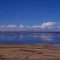Mis tappis Titicaca järves 10 000 ohustatud liigist konna?