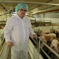Ühistuline lihatööstus lakub haavu, ent loodab kosuda