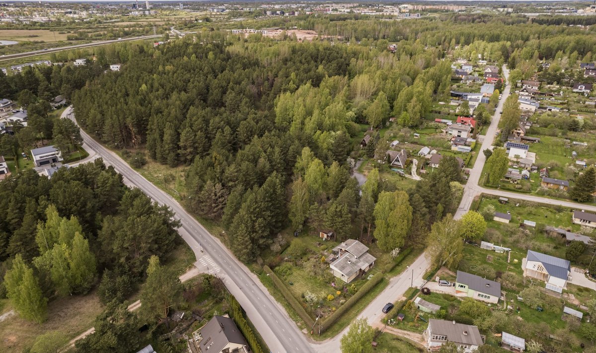 Metsaseaduse järgi on raadamine raie, mida tehakse, et võimaldada maa kasutamist muul otstarbel kui metsa majandamine.