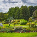 Таллиннский ботанический сад приглашает на дни садоводства