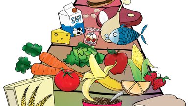 Kuidas laps tervislikumalt sööma saada? 8 küsimust toitumis­nõustajale