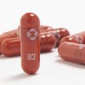 Uuring: koroonaviiruse vastane tablett ei vähenda raskete haigusjuhtude ega surmade arvu