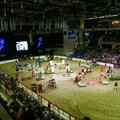 Tallinn International Horse Show jääb sel sügisel ära: riskid on liiga suured