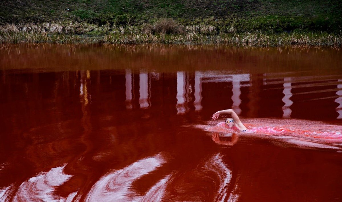 Про красную воду. Кровавое озеро. Красное озеро. Красный водоем. Озеро красного цвета.