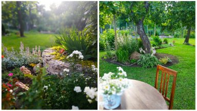 “Мой дом летом” | Один из красивейших внутренних дворов Кохтла-Ярве