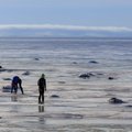 DELFI FOTOD: Munalaiu jää kannab nii uisutajaid kui autosid