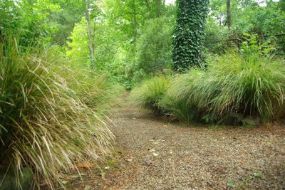Poolvarjulise metsaaia või aiataguse ülemineku metsaks võib samuti kõrrelistega täita. Sinna sobib hästi <em>Deschampsia cespitosa</em> (luht-kastevars), mis kasvab meelsasti ka poolvarjus ja veidi kuivemas mullas.