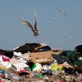 Heakorrakuu raames koguti Tallinnas üle 500 tonni jäätmeid