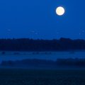 „Оленья луна“. В ночь на четверг можно будет увидеть самое яркое суперлуние этого года 