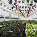 PÄEVA TEEMA | Aiandusliidu juht: aianduspoed tuleks lahti teha, muidu võib terve hooaeg vahele jääda