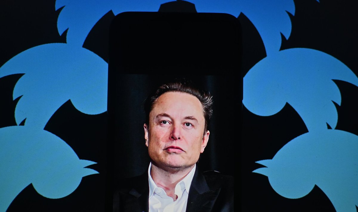 Elon Musk And Twitter Logo