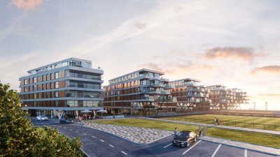 Noblessneri arendusprojekt