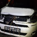 Страховой случай: наезд на северного оленя в Швеции привел к денежному требованию
