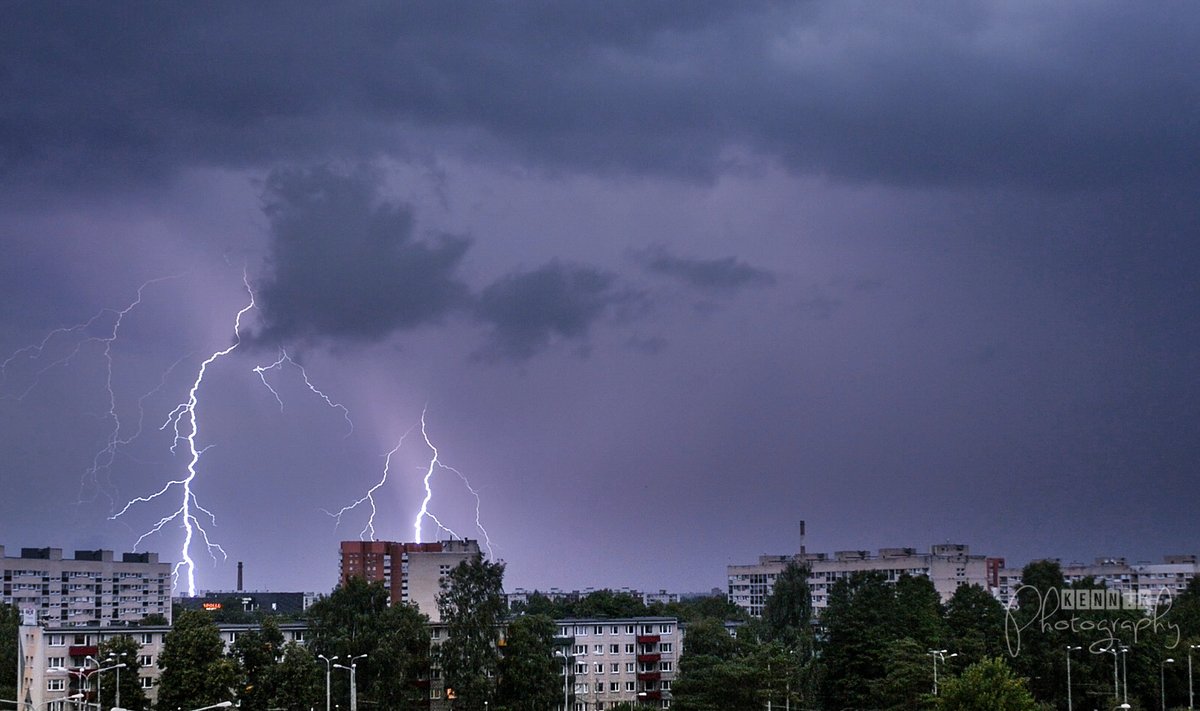 Äike Tallinnas Mustamäel