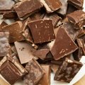 Ученые: шоколад может стать в будущем непозволительной роскошью