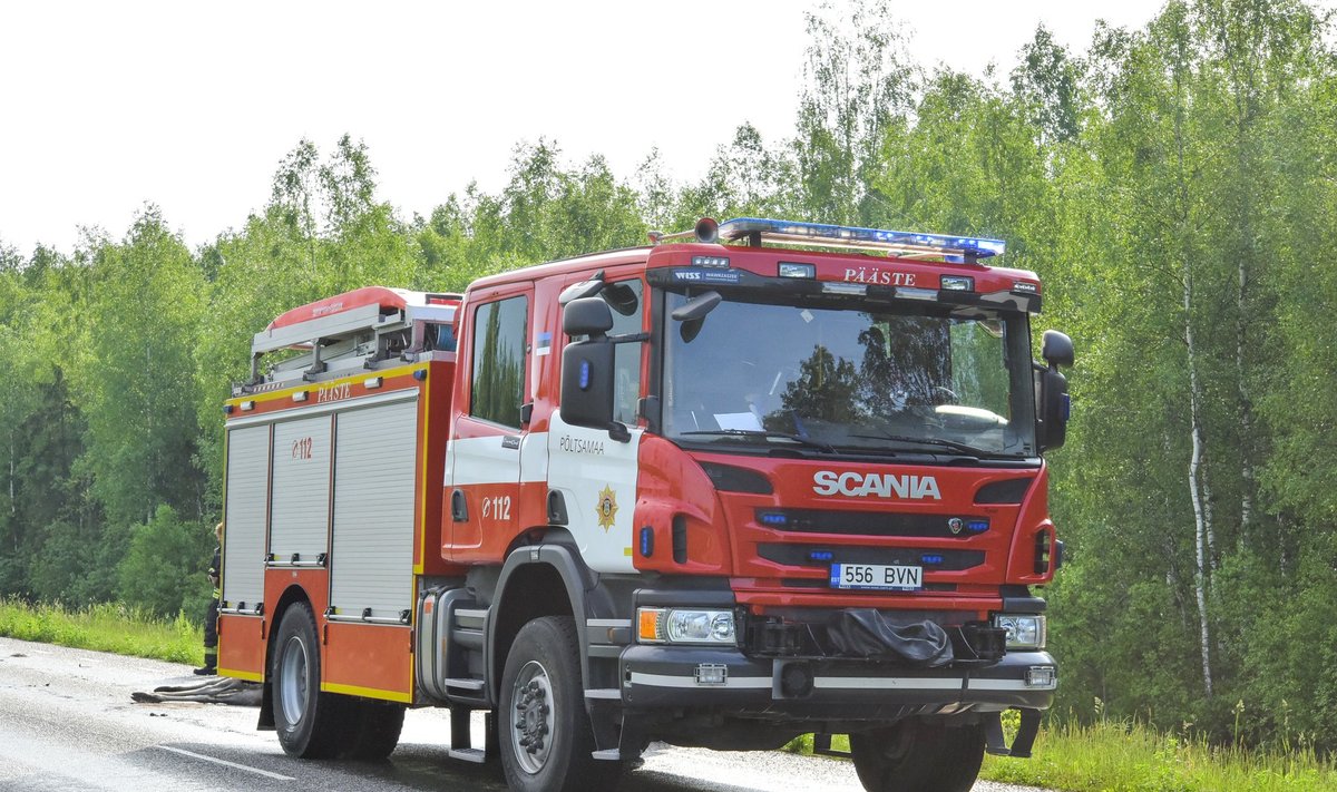 Järvamaal jooksis põder autole ette