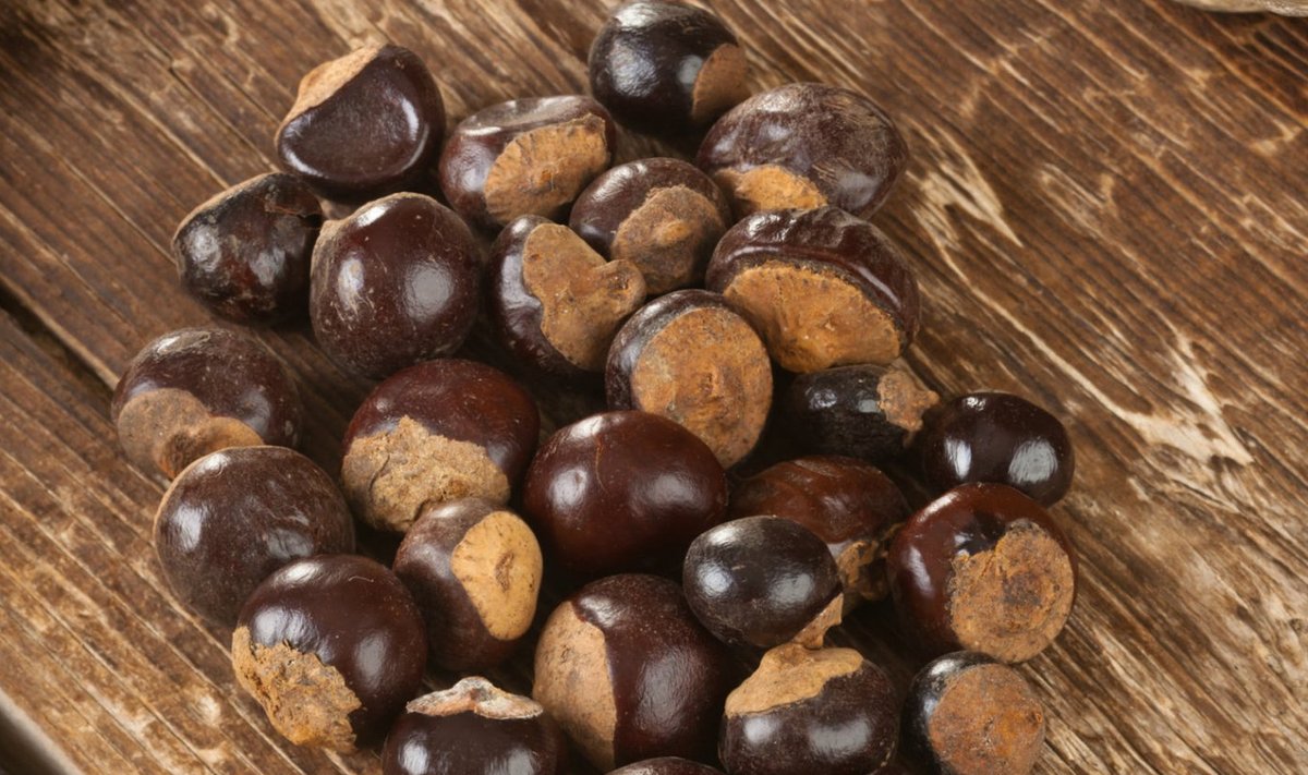 Guaraana