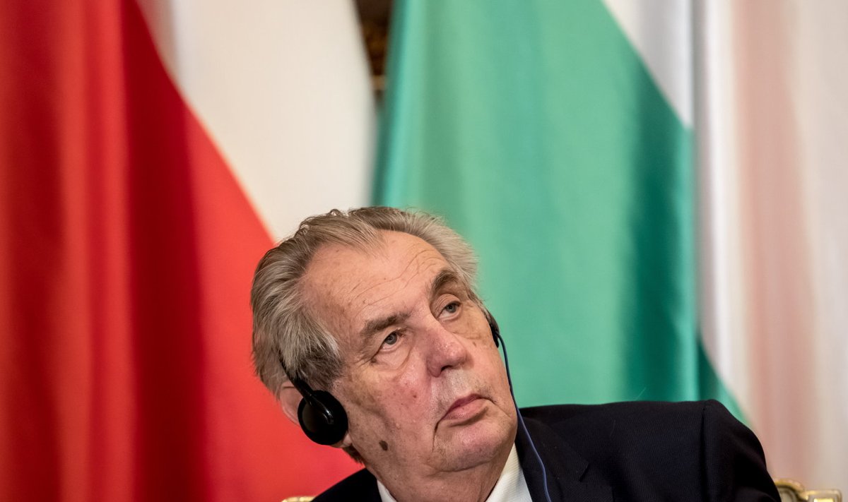 Zeman