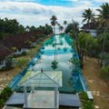 Как выжить в пандемию: 5-звездочный отель сделал из своего роскошного бассейна рыбную ферму