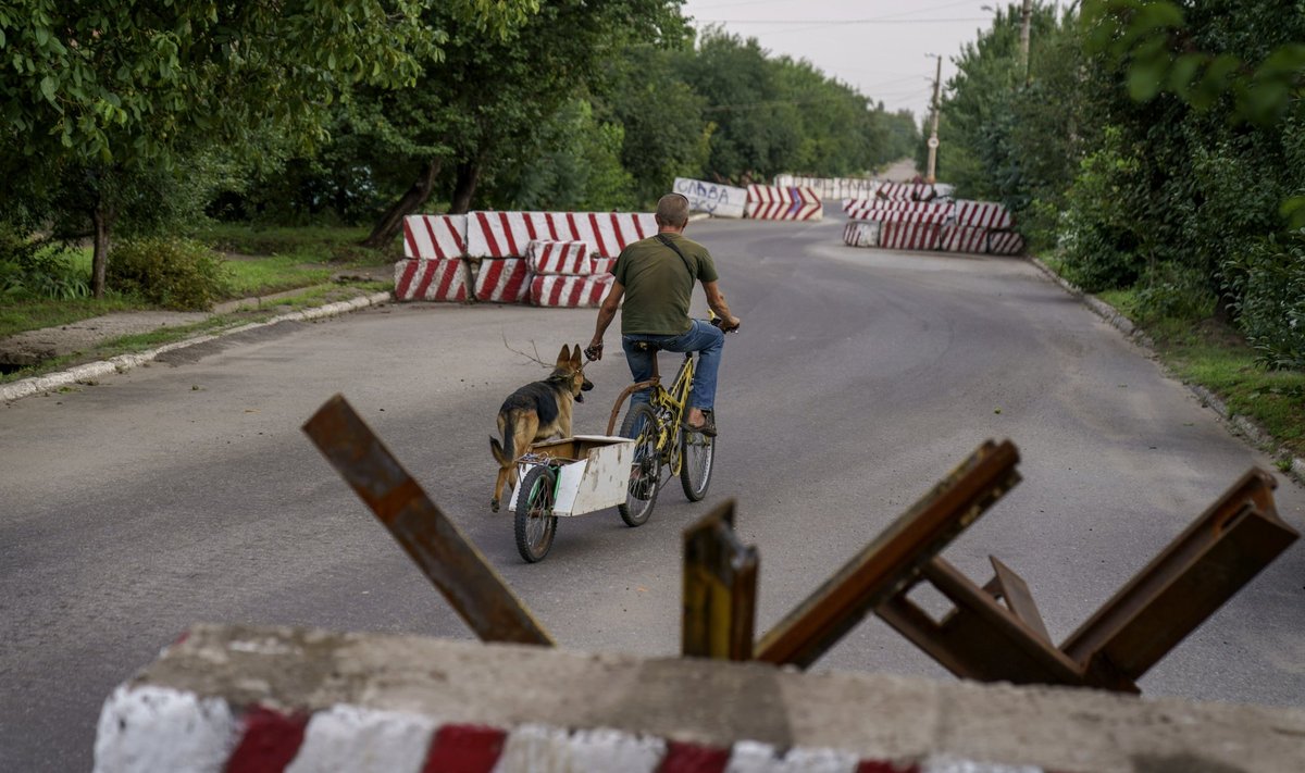 Jalgrattur ja koer manööverdamas barrikaadide vahel Donetski olastis.