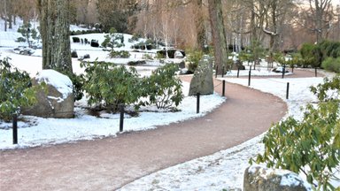 Talvine jalutuskäik Jaapani aias ehk huvitavad aia rajamise reeglid