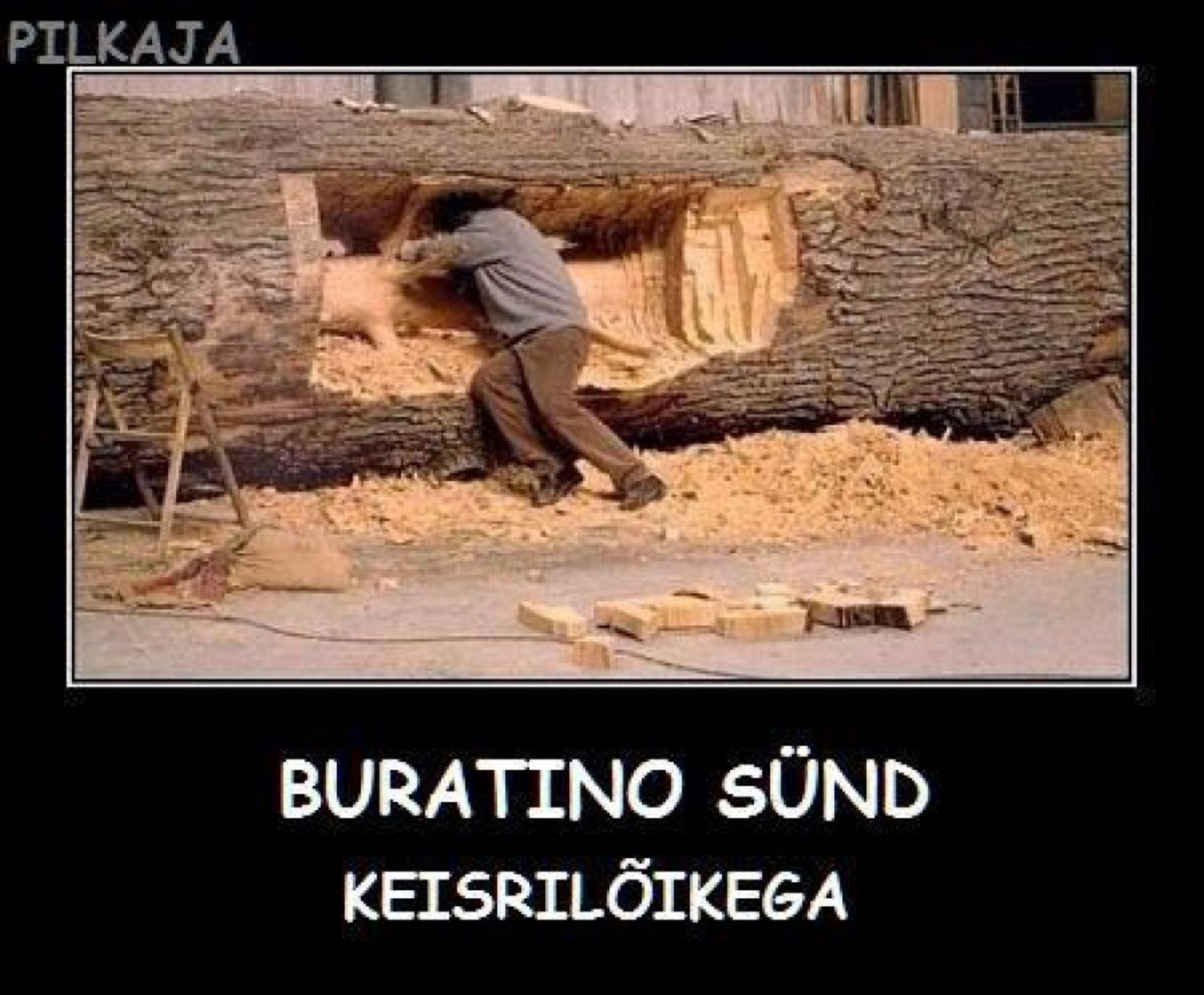 Буратино дрочил и сгорел