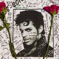 Prince on tagasi! Varalahkunud muusiku seniavaldamata paladest tehti album