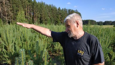 Unustage kuuse-kooreürask: Ilmar Josua metsi järab sootuks vähemtuntud tegelane