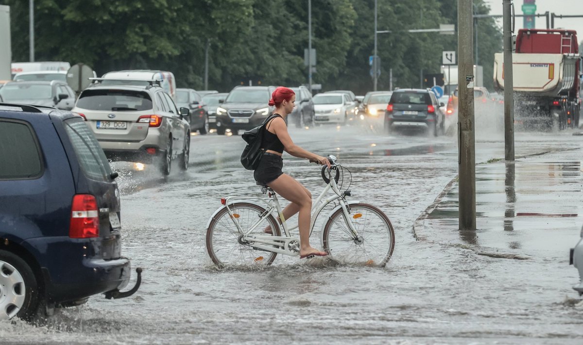 Tallinn kinnitas kliimakava kaks kuud tagasi, seal on kirjas ilusad eesmärgid, aga tänavu neid ellu viima hakata ei ole plaanitud.
